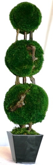 26 inch   Triple Moss Topiary